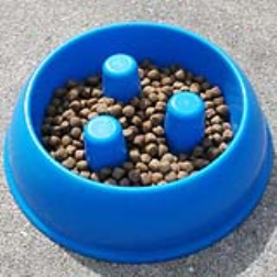 Adding protrusions to a dog bowl create a barrier and prevent the dog from eating too quickly