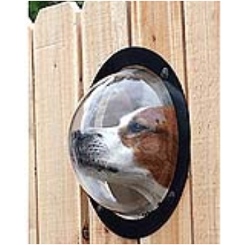 transparent dome to allow dogs to see whats on the other side of the fence