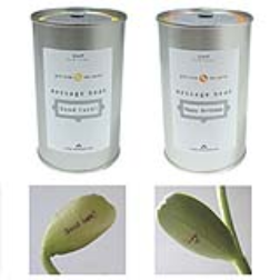 These message beans reveal a message as they grows