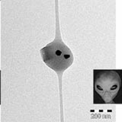 'Alien nanofiber' has anti-counterfeiting applications