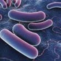 A preservative-release system releases small amounts of antimicrobial compounds