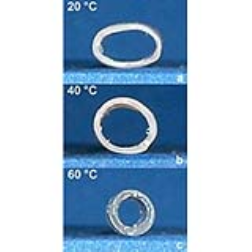 This shapeshifting plastic can change its shape according to the different applied temperatures