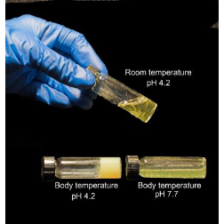 A "molecular condom" that women can use to protect themselves against the AIDS virus