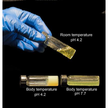 A "molecular condom" that women can use to protect themselves against the AIDS virus