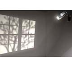 Reveal casts a light-and-shadow pattern across any surface, making it look like sun shining through tree branches and into a nearby window