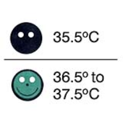 An inexpensive LCD disc applied to the babies forehead will show the temperature