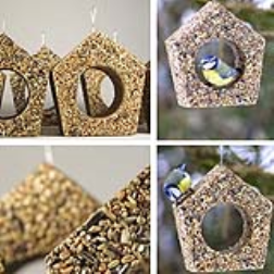 The edible birdhouse is made of birdseeds