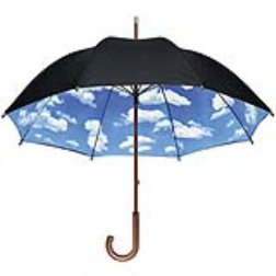 This umbrella has a blue sky design on the inside