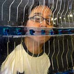 Living glass is a silent transforming and transparent surface that responds to inhabitants proximity