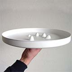 Protrusion on a serving tray give a better grip
