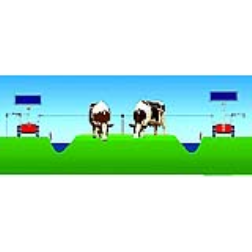 Voyager is an automated strip grazing system which guides the cows