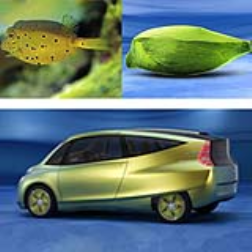 Mercedes-Benz bionic car is streamlined and light, like a fish in water