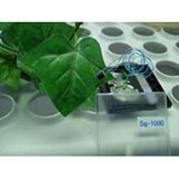 Tiny sensors clipped to plant leaves to wirelessly monitor the water needs of crops