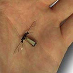 A robotic fly for with movements like a real fly