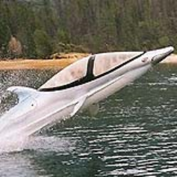 A dolphin shaped one-man submarine