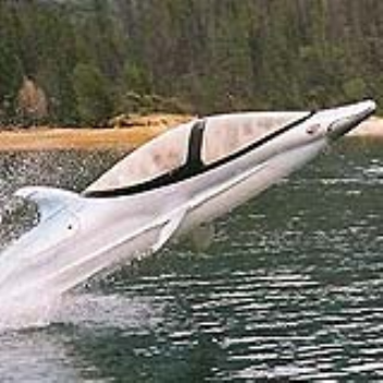 A dolphin shaped one-man submarine