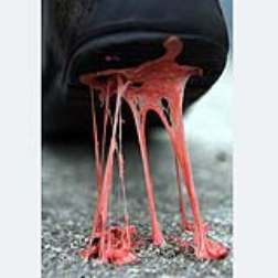 A chewing gum that dissolves in water and can be removed easily
