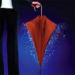 NanoNuno umbrella is modelled after the lotus leaf where moisture simply rolls off