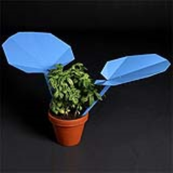 A rain collector in the shape of a large leaf