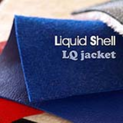 A spray-on protective treatment for leather support
