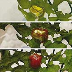 Beetles that go red with switchable reflector