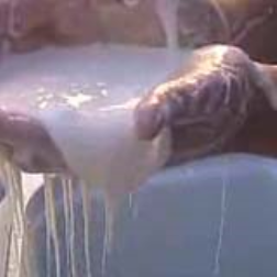 A liquid which can also be solid