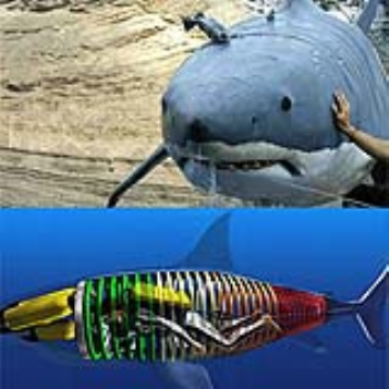 Shark-Shaped Submarine - MoreInspiration