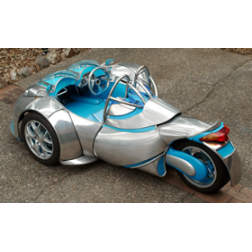 environmentally friendly, light weight, economical car on three wheels