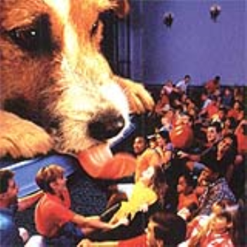 3D film which also interacts with the audience