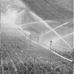 irrigation sprinkler system in a straight line
