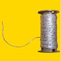 Seed tape has precisely spaced seeds in a tape that dissolves in water