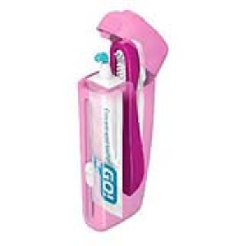 portable toothbrush with toothgel