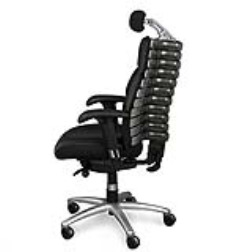 This ergonomical chair molds itself to fit your spine's shape