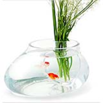A fish bowl can also serve another function. Adding a seperate area for a plant combines a vase with a fish bowl