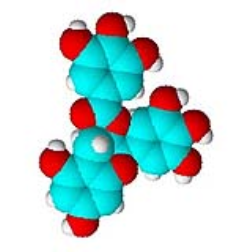 A compound found in green tea, EGCG, which is a health-boosting antioxidant, works to kill bacteria