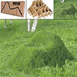 Simple carboard frame helps create a grass armchair