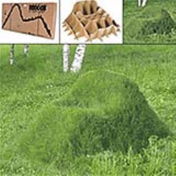 Simple carboard frame helps create a grass armchair