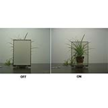 2 plastic panel with liquid crystal molecules in between will make a window switchable between transparent or opaque