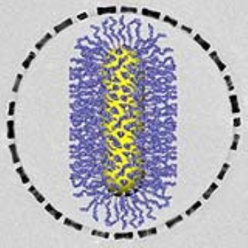 Tiny building blocks known as gold nanorods spontaneously assemble themselves into ring-like superstructures