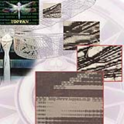 Toppan's holographic nanotext printing uses electron beams (EB) to print characters 30 times smaller