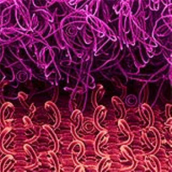 Velcro is self-sewing fabric which is inspired by plants