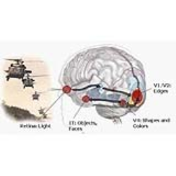 Te Darpa binoculars can see far and also warn of impending threats