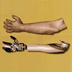 A mechanical arm that closely mimics the properties and sensory perception of a biological limb