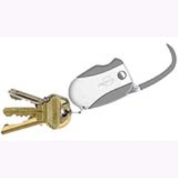 A self-cleaning keyring for carrying objects