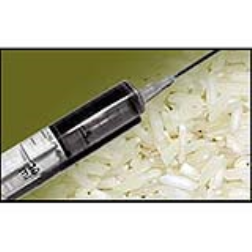 Researchers have developed a type of rice that can carry a vaccine for cholera