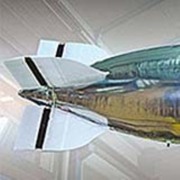 A new design lets an airship "swim" through the air like a fish moving through water
