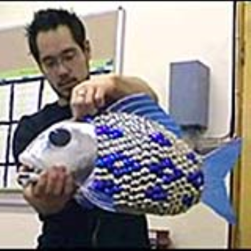 A life like robotic fish that can avoid objects and swim like a fish