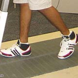 A treadmill with a split belt can move in opposite directions