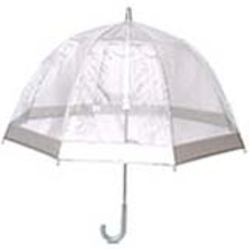 A see through umbrella