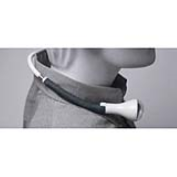 A wearable fish-eye camera and microphone that wirelessly transmit data to the user's mobile phone